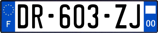 DR-603-ZJ