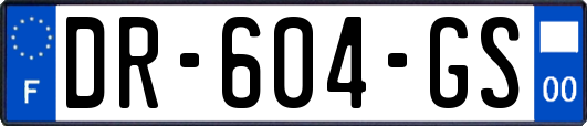 DR-604-GS