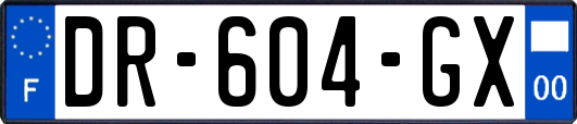 DR-604-GX