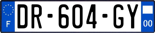 DR-604-GY