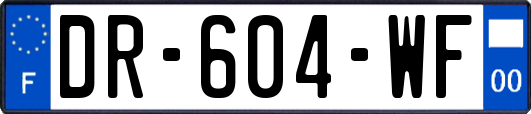 DR-604-WF