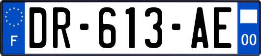 DR-613-AE