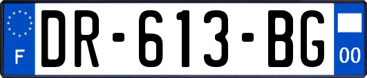 DR-613-BG