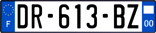 DR-613-BZ