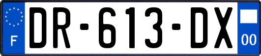 DR-613-DX
