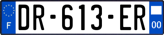 DR-613-ER