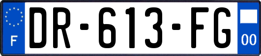 DR-613-FG