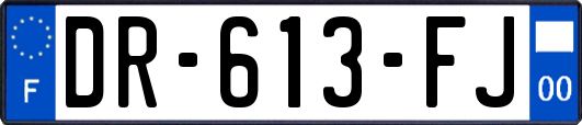 DR-613-FJ