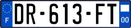 DR-613-FT