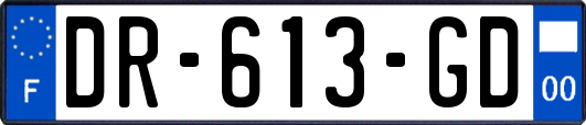 DR-613-GD