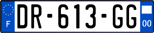 DR-613-GG