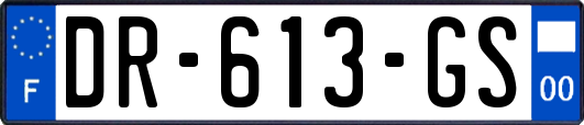 DR-613-GS