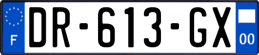 DR-613-GX