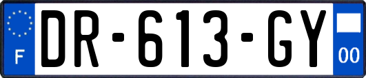 DR-613-GY