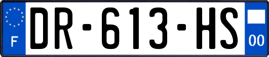 DR-613-HS