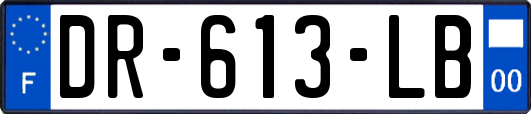DR-613-LB