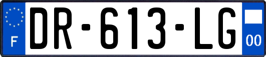 DR-613-LG