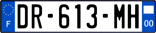 DR-613-MH