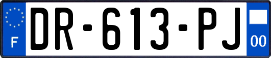 DR-613-PJ