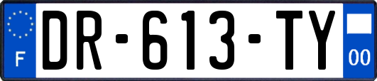 DR-613-TY