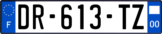 DR-613-TZ