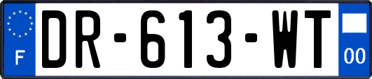 DR-613-WT