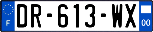 DR-613-WX