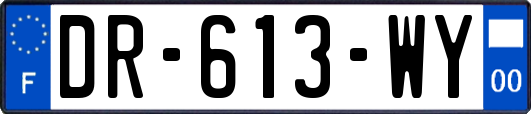 DR-613-WY