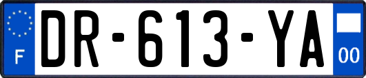 DR-613-YA