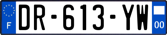 DR-613-YW