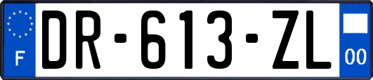 DR-613-ZL