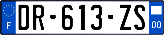 DR-613-ZS