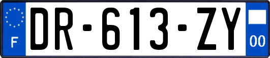 DR-613-ZY