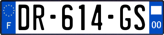 DR-614-GS