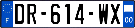 DR-614-WX