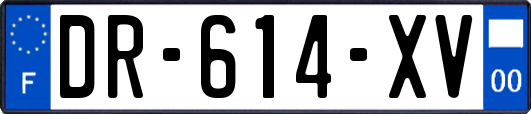 DR-614-XV