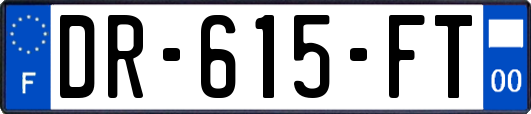 DR-615-FT