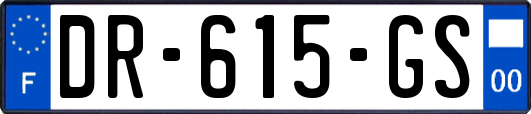DR-615-GS