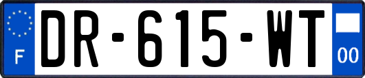 DR-615-WT