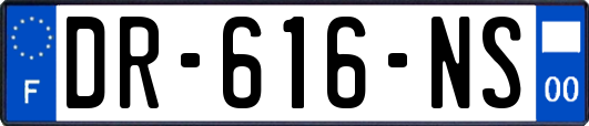 DR-616-NS