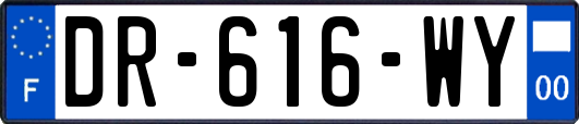 DR-616-WY