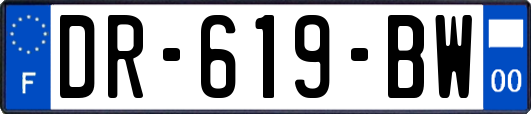 DR-619-BW