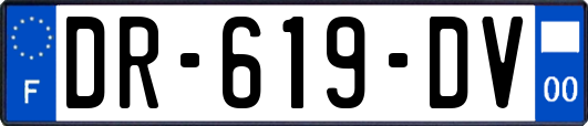 DR-619-DV