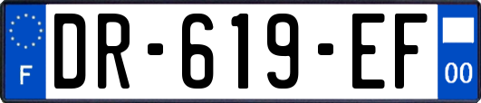 DR-619-EF