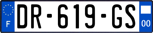 DR-619-GS