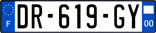 DR-619-GY