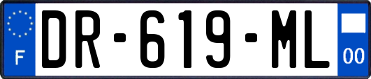 DR-619-ML
