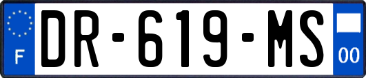 DR-619-MS