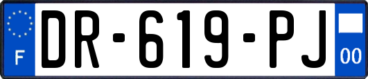 DR-619-PJ