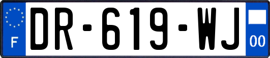 DR-619-WJ